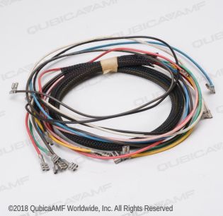 070007161 HARNESS-CAM SWITCH